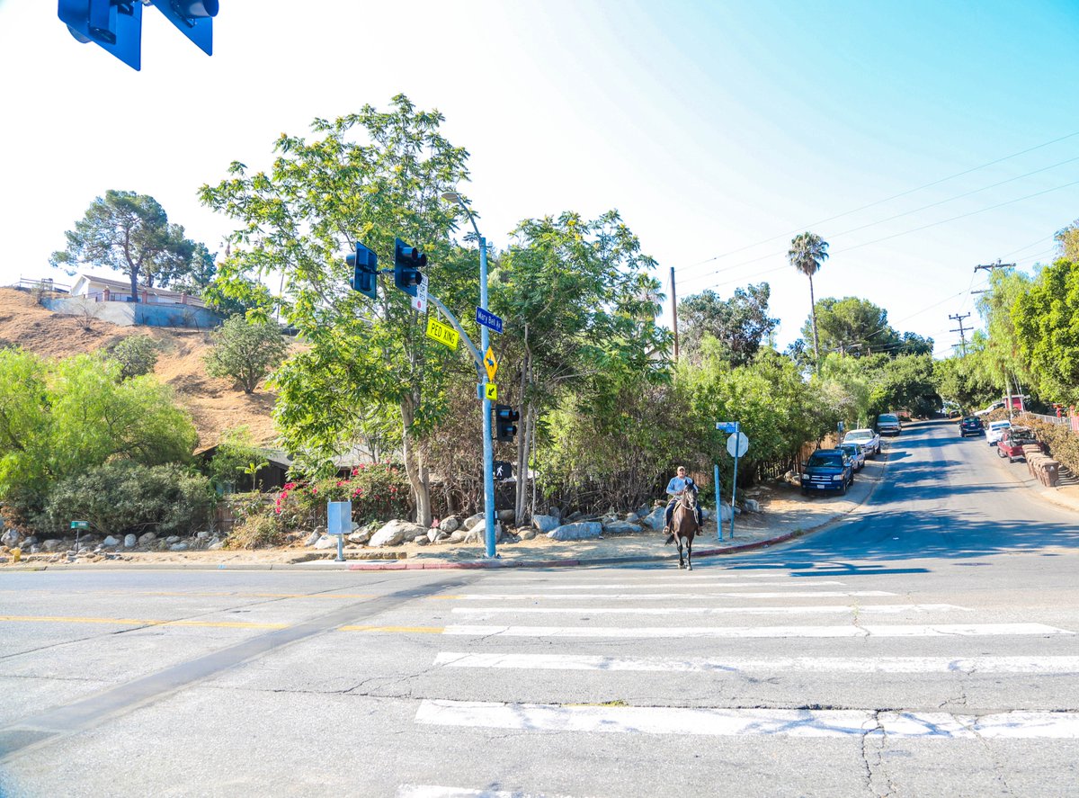 LADOTlivable's tweet photo. There are so-ho-ho-ho 🎅🏼 many ways for Angelenos to enjoy the city streets. From dedicated bike and bus lanes to safety signs and crosswalks we're here to keep #MovingLAForward with livable streets for all. https://t.co/BaxIt29x9L