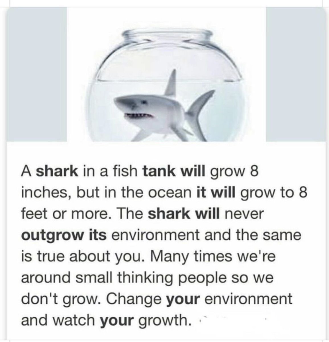 miket825's tweet photo. Perfect lesson to grasp heading into 2022! Where and how you position yourself has a direct impact on your growth and success. #sales #leadership https://t.co/s8Da5axaLd