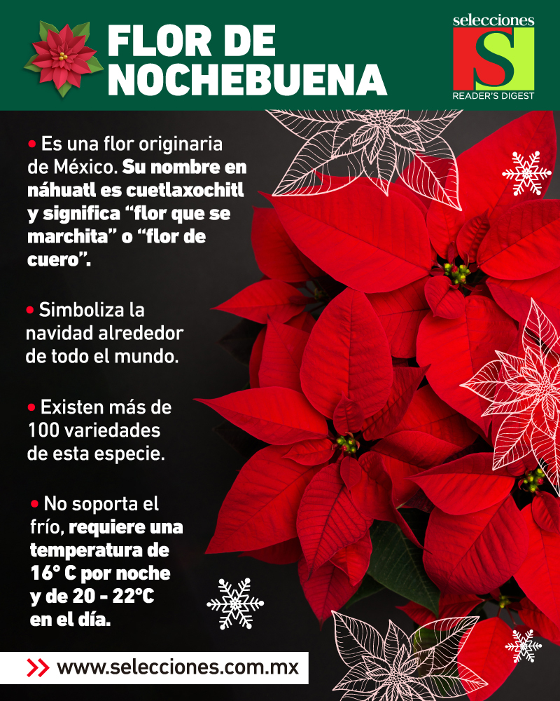 Revista Selecciones México on Twitter: Revista Selecciones México on Twitter: