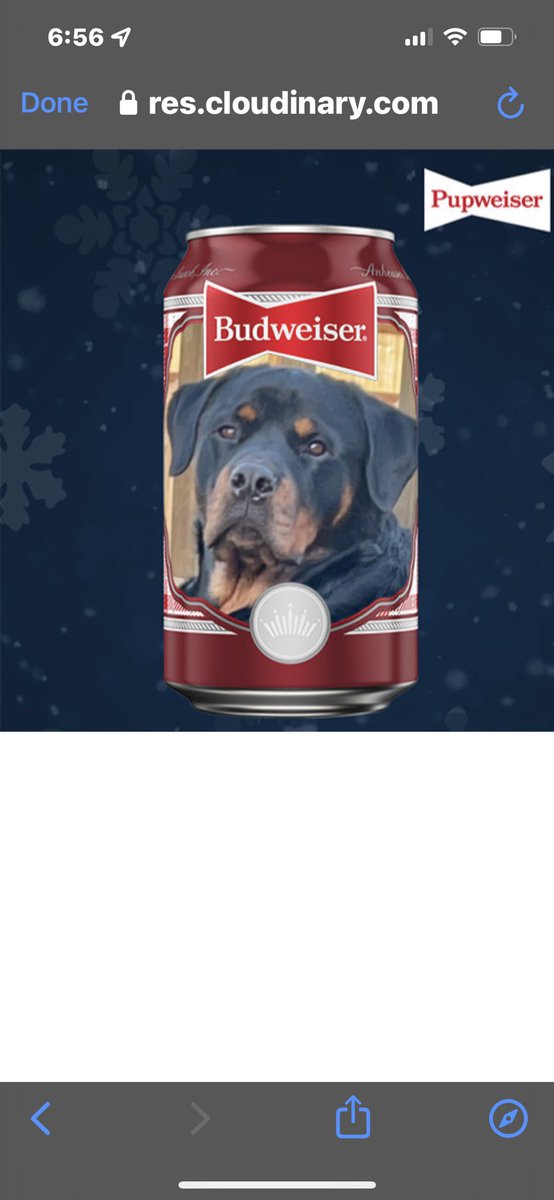 #PupweiserContest <a href="/budweiserusa/">Budweiser</a> How cool would a can of Bud look with this big guy on it!!