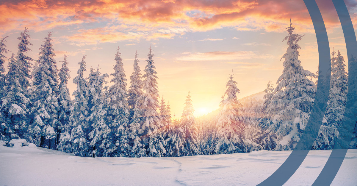 Please note our upcoming closure: Our CT and VA branches will close at noon on Friday, December 24. We will reopen with our normal hours on Monday, December 27. Happy holidays!