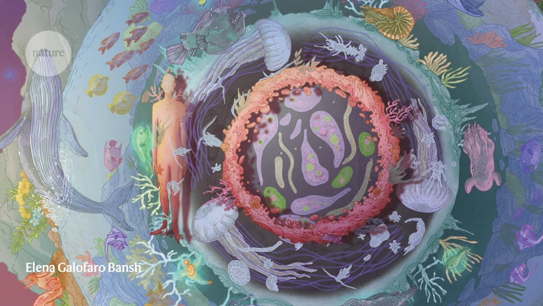 ABEProgOffice's tweet image. Read about 10 people who helped shape science in 2021 (and who to watch for in 2022) in this @NaturePortfolio article: nature.com/immersive/d415… #allforscience #scienceforall