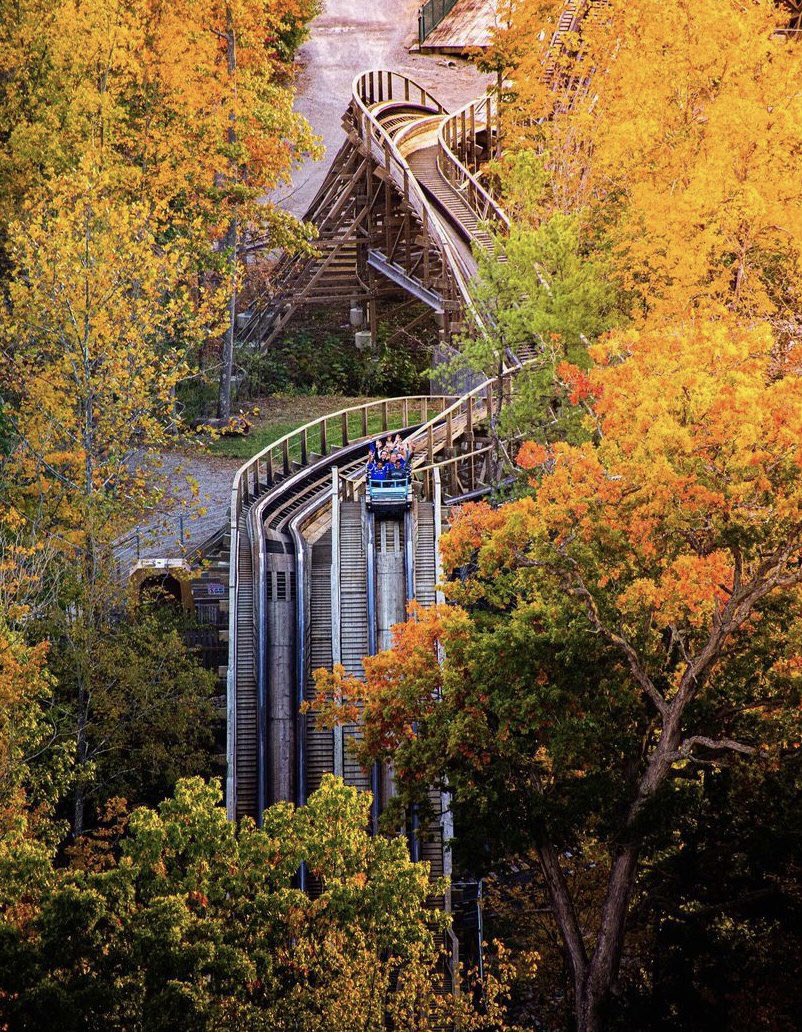 Coaster365's tweet photo. #6 - Mystic Timbers - Kings Island
A bit high? Don’t want to hear it, Mystic SLAPS. The drop, the woods, the theme (yes the shed!), and ALL the amazing airtime. I haven’t laughed harder on a ride!
(📸 Yep, this pic again 🤩@ThrillingMoment)
#25DaysOfRollers #25DaysOfCoasters https://t.co/KXwklQLw7x
