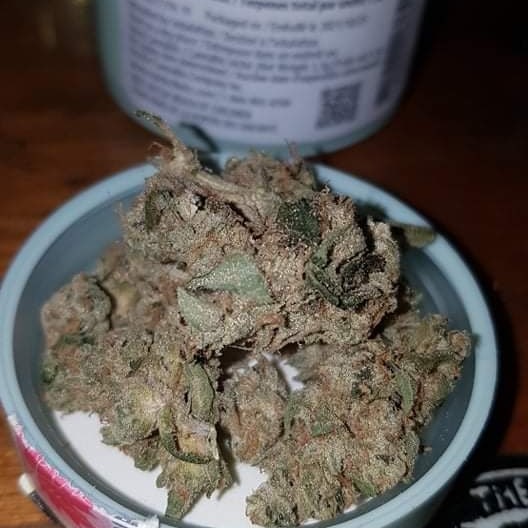 AlwaysMoorepod's tweet photo. From Ep.35s explain the strain:
#Redneckwedding. A hybrid that mixes Red Cup and Pisswater beer strains. It is perrfect for socializing and having those intriguing conversations.
#ARFM #Weed #BackForMoore #CannabisCommunity #StonerPodcast #Podcast #Legalized #PodcastAndChill https://t.co/iJD4TyHLs6