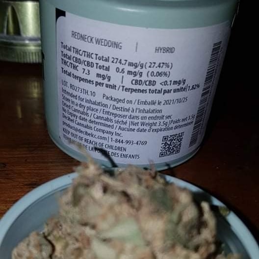 AlwaysMoorepod's tweet photo. From Ep.35s explain the strain:
#Redneckwedding. A hybrid that mixes Red Cup and Pisswater beer strains. It is perrfect for socializing and having those intriguing conversations.
#ARFM #Weed #BackForMoore #CannabisCommunity #StonerPodcast #Podcast #Legalized #PodcastAndChill https://t.co/iJD4TyHLs6