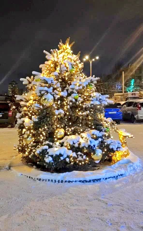 looks_like's tweet photo. 🎄 #winter2021 #ukraine #kyiv #night #christmastree https://t.co/PRrZMheuui