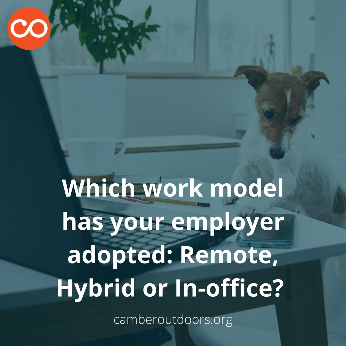 About 45 percent of organizations are returning to the office w/ a hybrid work model &amp; it's imperative for organizational leadership to continue building inclusive environments, even when employees are WFH.

What work model has your employer adopted: remote, hybrid or in-office?