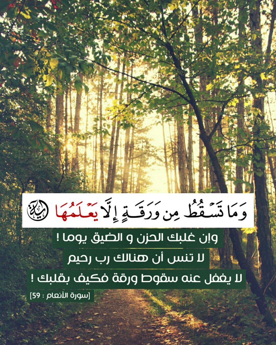 _Abdullah_iQ's tweet photo. @AdhamNabulsi https://t.co/OnqFJUd5NR