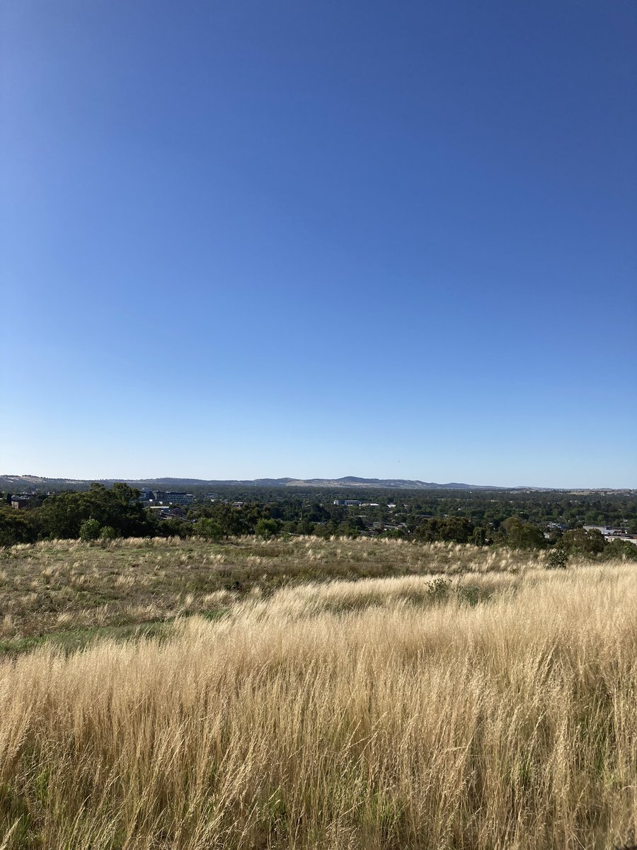 KenGrimson's tweet photo. Nice to hear the Kookaburras in the late afternoon on #waggawagga’s Willans Hill. #runCharlesSturtrun #charlessturtalumni https://t.co/PcW0mPGo8d