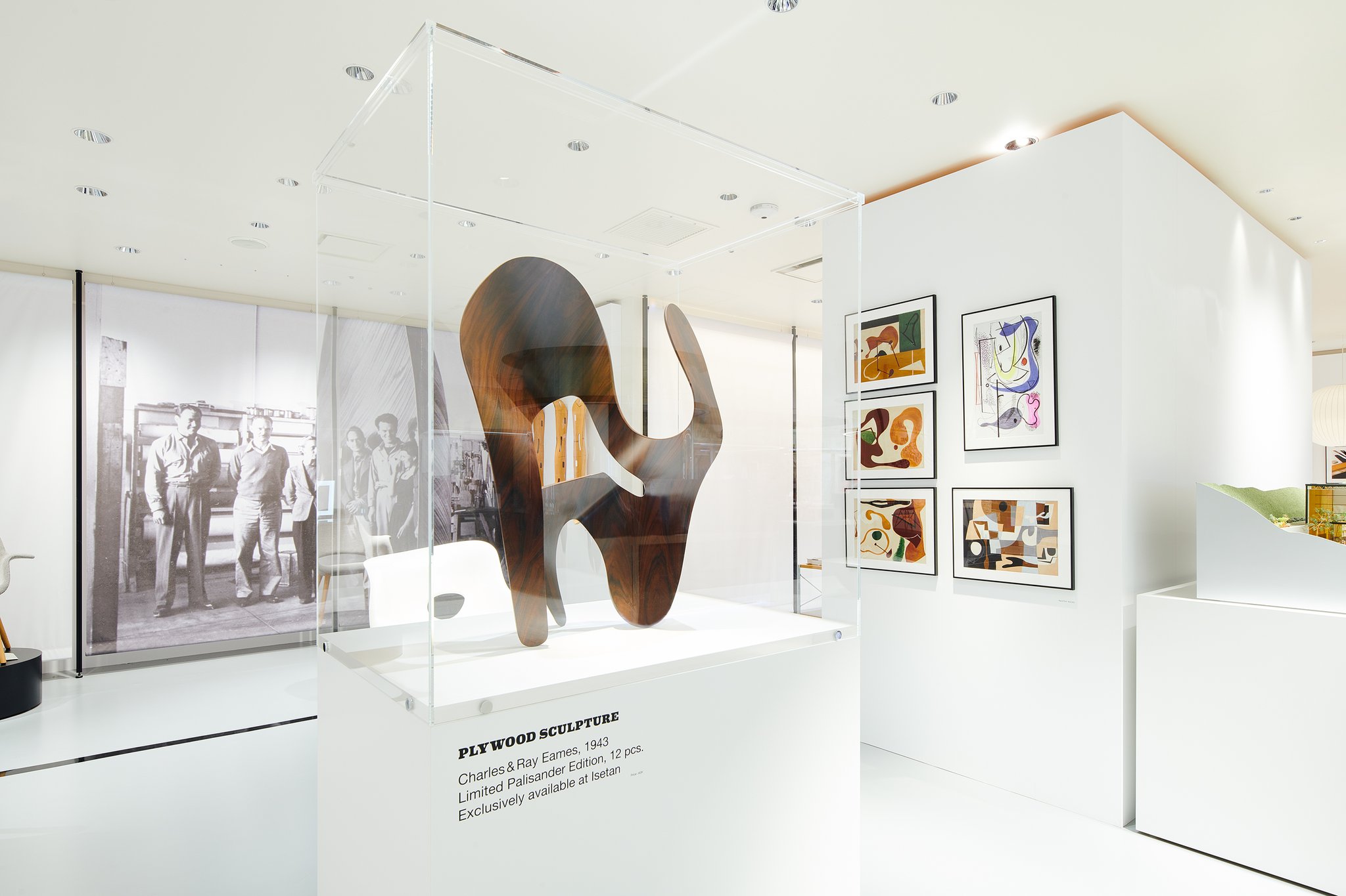 【新品】The World of Charles and Ray Eames 9780500518304_std_the-world-of