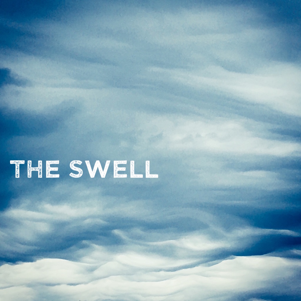 Tony Xenos tweet media