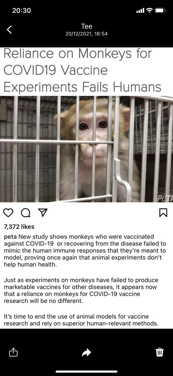 WilliamBlogs4's tweet photo. Animal testing just doesn’t work.  Stop now and start using up to date alternative methods @pritipatel  @BorisJohnson get the #uk out the dark ages, move forward and progress with #Sciences #flawedscience doesn’t help #Humans please Sign the petition 🙏🏼 https://t.co/uUk3Qvq2Lr