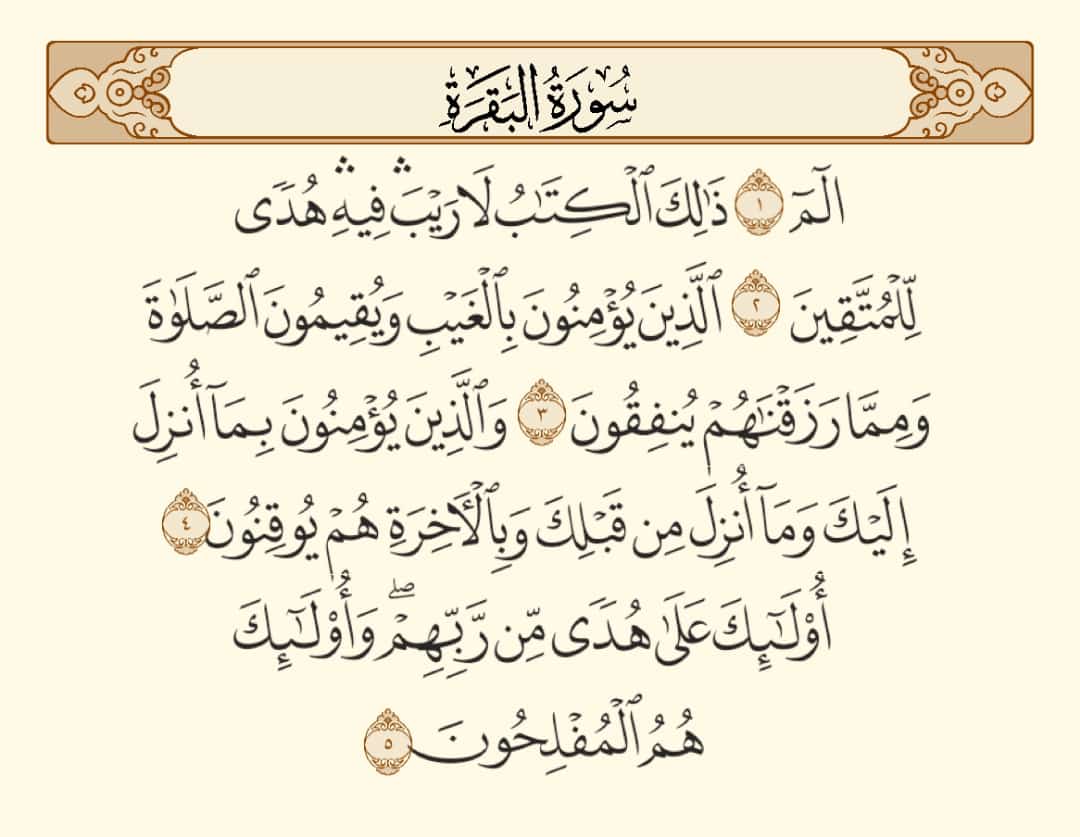 محمد الحجايا tweet media