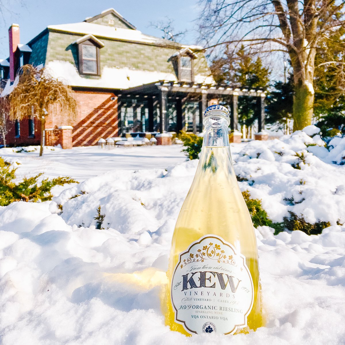 Can’t make it to the winery before Christmas? Not to worry! 

Some of your favourite Kew wines are available at your local @lcbo, including this 2019 Organic Riesling sparkling! 

Head to lcbo.com to find a bottle near you