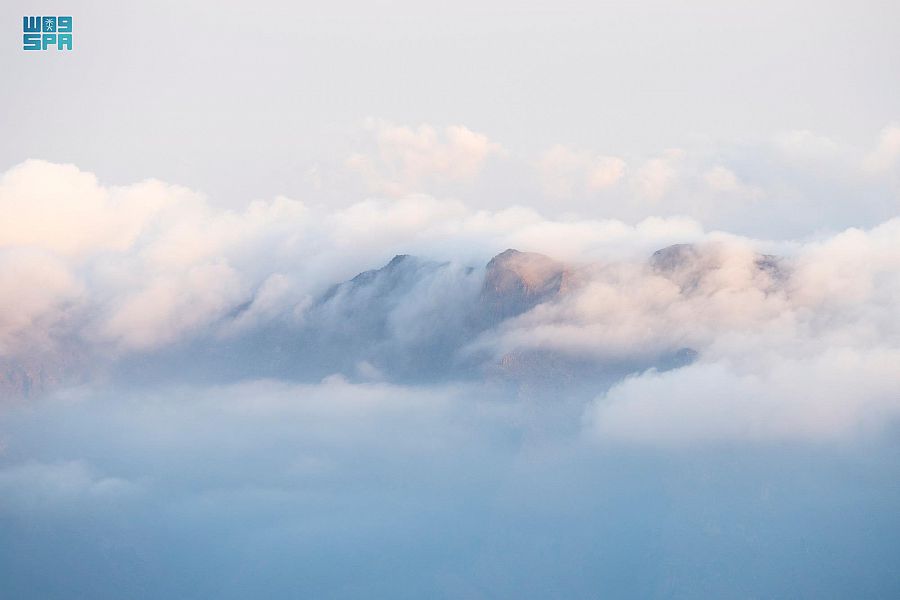 Saudi_Gazette's tweet photo. #PICTURES: Thick fog blanketed the picturesque peaks of #AlHada and #AlShafa, located at an altitude of about 2,700 meters above the sea level, in the #Taif governorate.
https://t.co/2vCkbnwEb4 https://t.co/amzCspa40o