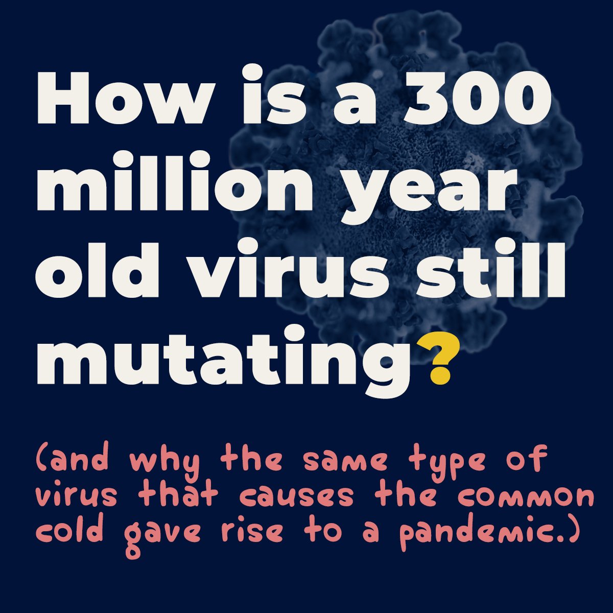 SynapticSarah's tweet photo. There is evidence that coronaviruses may be 300 million years old (give or take a few).

SARS-CoV-2 is a mutated form of the virus that infects bats. Since humans have no immunity to this virus it can spread quickly and is sometimes undetected. #COVID19 #scicomm #coronavirus https://t.co/ErfhivzmQZ