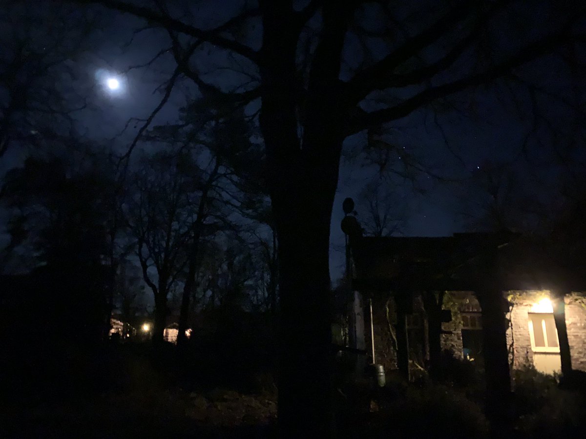 BklynStar77's tweet photo. A few hours later- this beauteous beauty shines clear and bright, in the night sky, next to her comrades ✨( defenders of 🌎..🕊...😍 )! #nightsky #home #grateful #takepause #nature https://t.co/dw9SwYut8u