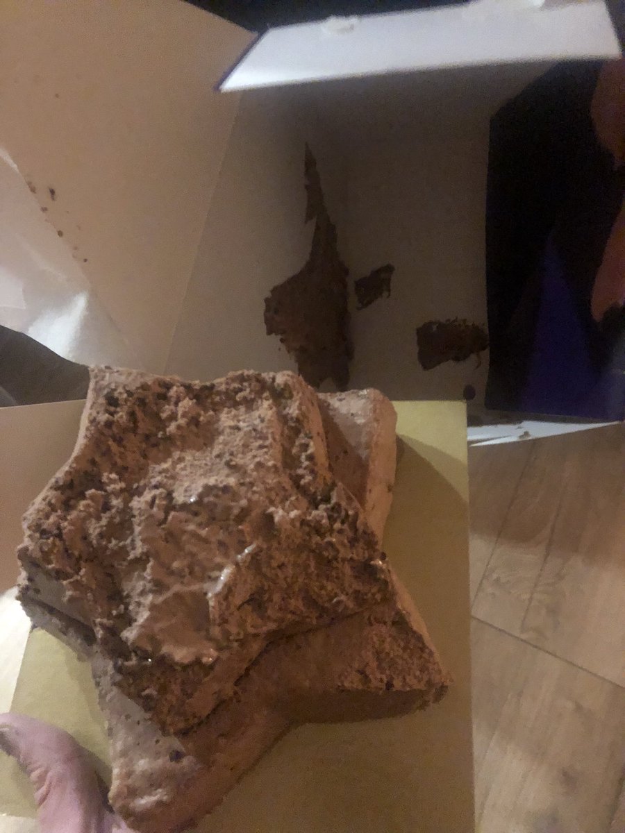 elmarbus's tweet photo. Dan komt de ijstaart van @albertheijn binnen via bezorgservice en is hij half gesmolten en de rest van de inhoud zit aan de doos geplakt… #AH #AlbertHeijn #ijstaart #gesmolten https://t.co/tdrfT9wrJv