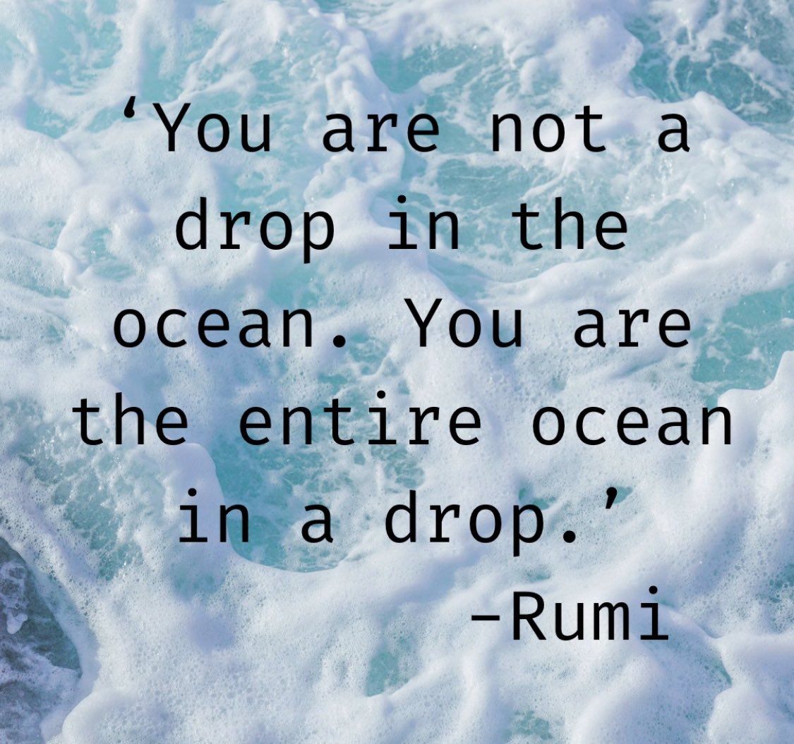 DrMarkRowe's tweet photo. ‘You are not a drop in the ocean. 

You are the entire ocean in a drop.’

                    Rumi 

              🙏♥️🦋📘

#mondaythoughts https://t.co/FtjPgZxffl