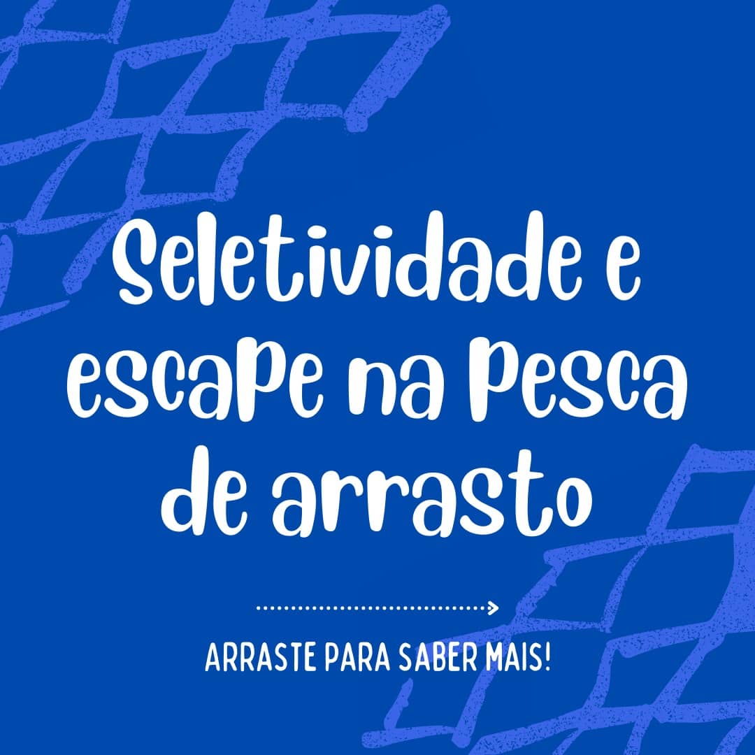 labictioufs's tweet photo. Venha saber mais sobre a seletividade na pesca de arrasto! ⬇️

https://t.co/BZv6b0RUv0 https://t.co/S8w7tFLiSC