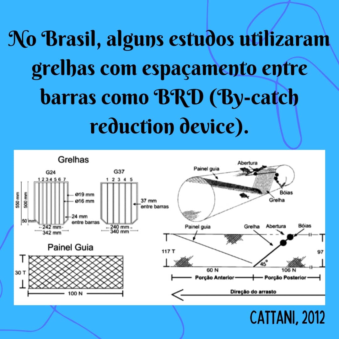 labictioufs's tweet photo. Venha saber mais sobre a seletividade na pesca de arrasto! ⬇️

https://t.co/BZv6b0RUv0 https://t.co/S8w7tFLiSC