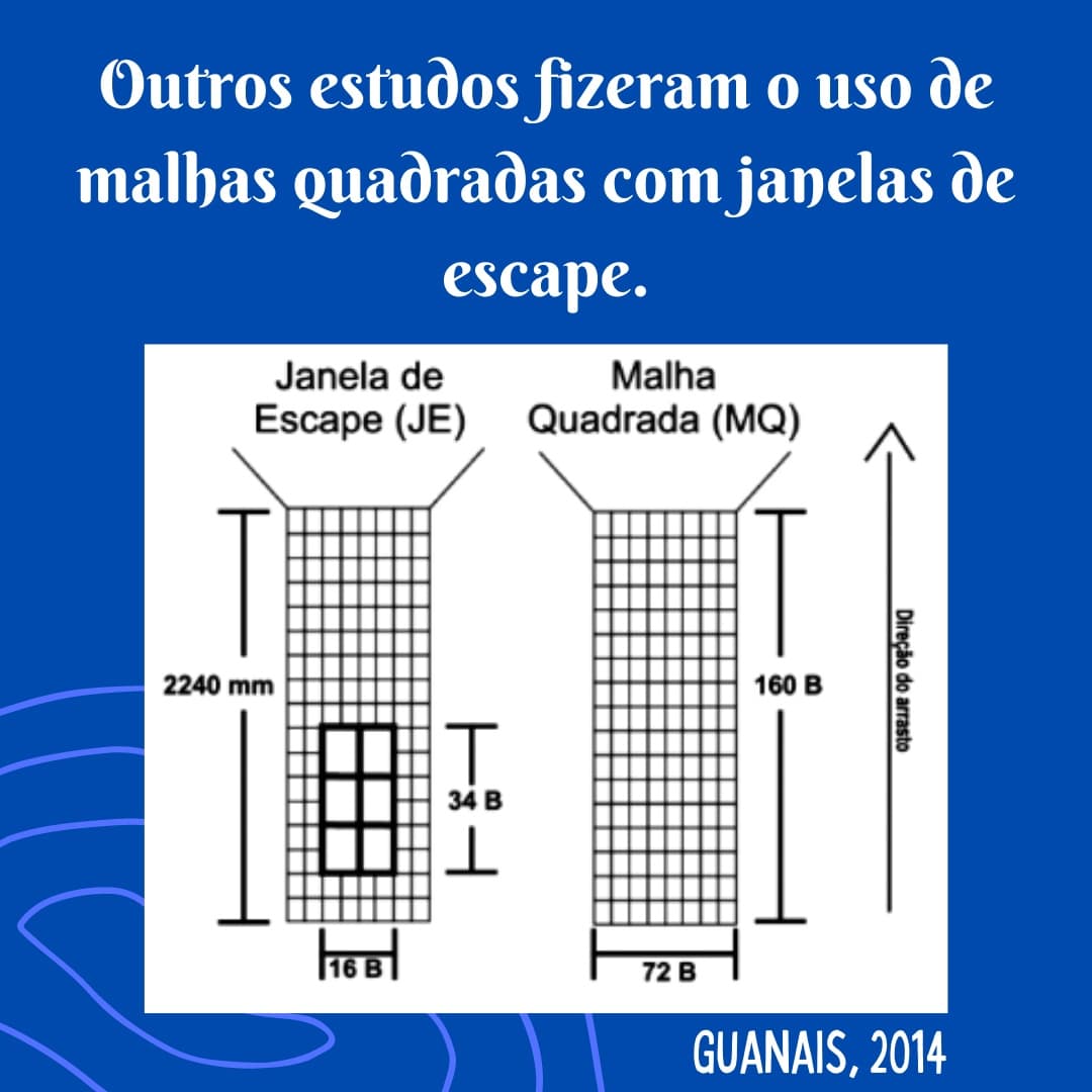 labictioufs's tweet photo. Venha saber mais sobre a seletividade na pesca de arrasto! ⬇️

https://t.co/BZv6b0RUv0 https://t.co/S8w7tFLiSC