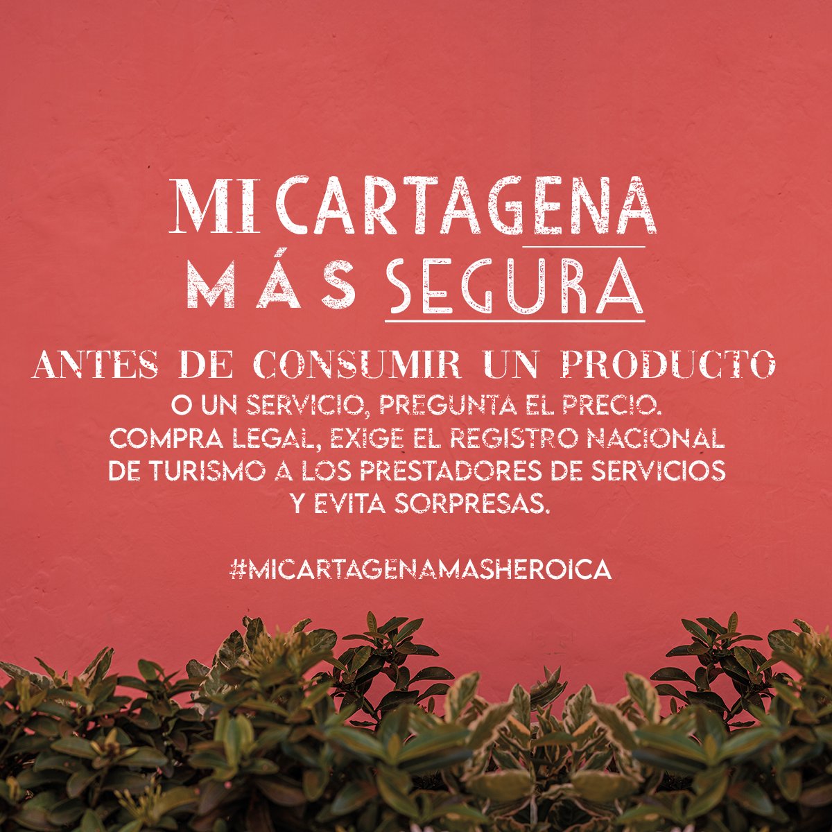 Turismo Cartagena De Indias tweet media