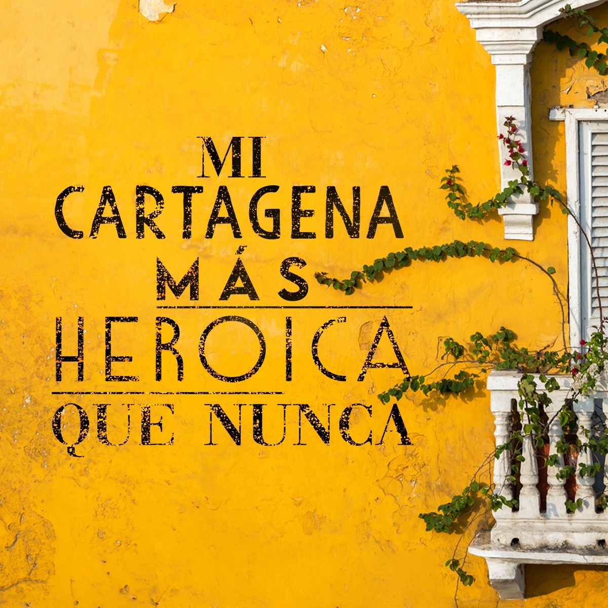 Turismo Cartagena De Indias tweet media