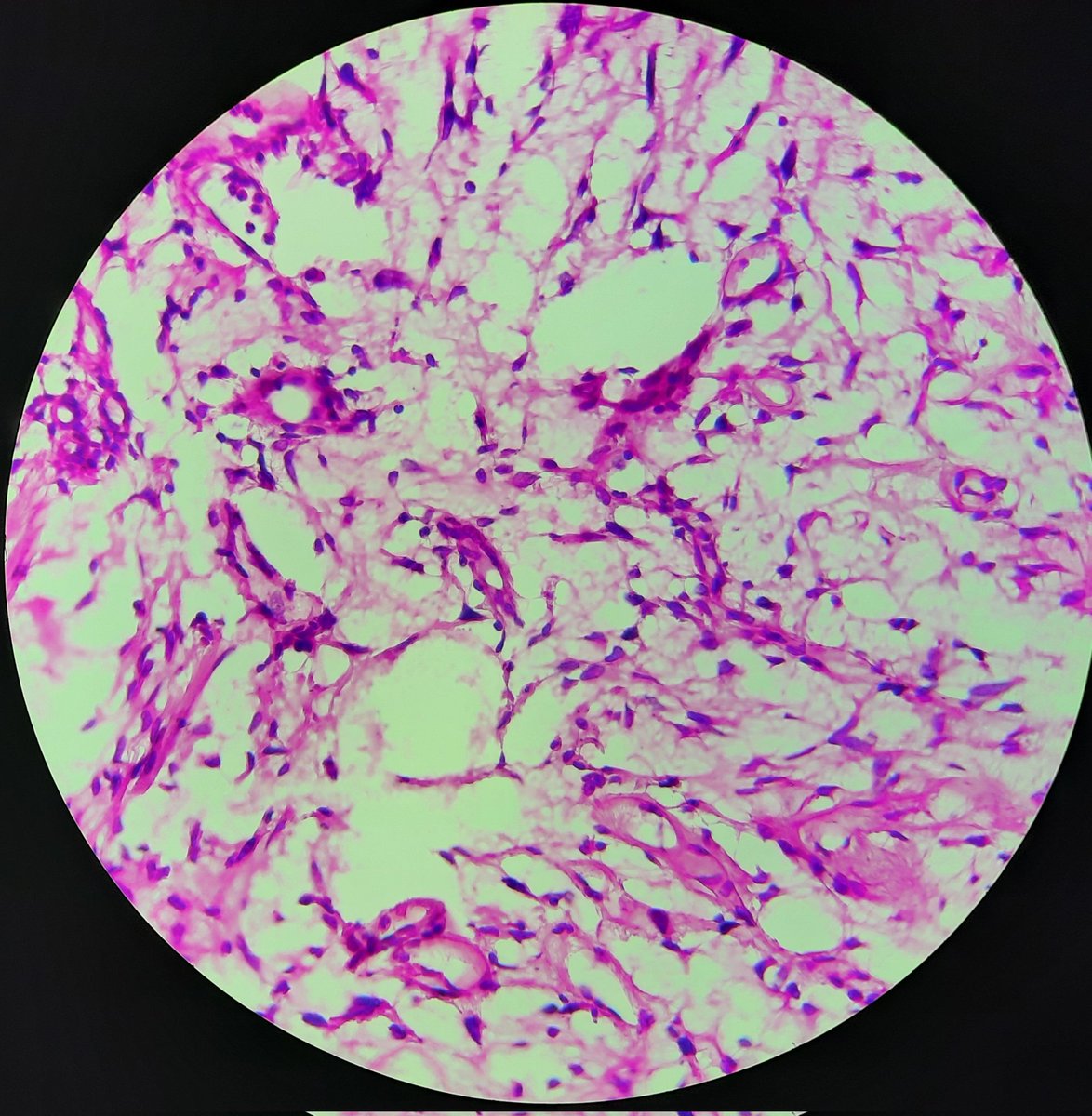 cherradi07's tweet photo. 30 old year man. What's your diagnosis? https://t.co/o0vmLfN26z