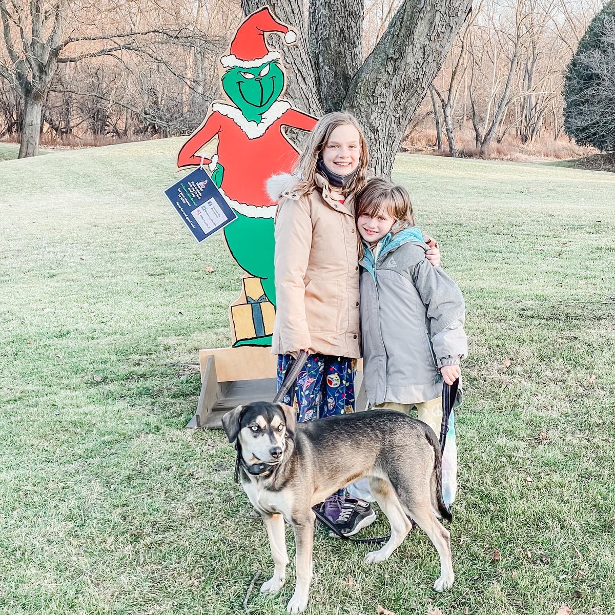 ChrissyDCarlson's tweet photo. I took a few parks, but we found him again! #libertyvillegrinch https://t.co/mduAK7lpEZ