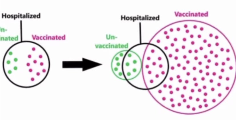 lizholmes237's tweet photo. @matthdown @jkwan_md https://t.co/5MKKDjXmLN