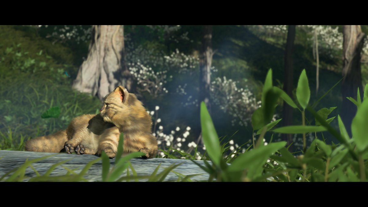 SimoHz_'s tweet image. #GhostOfTsushima  #PS5Share, #GhostofTsushima