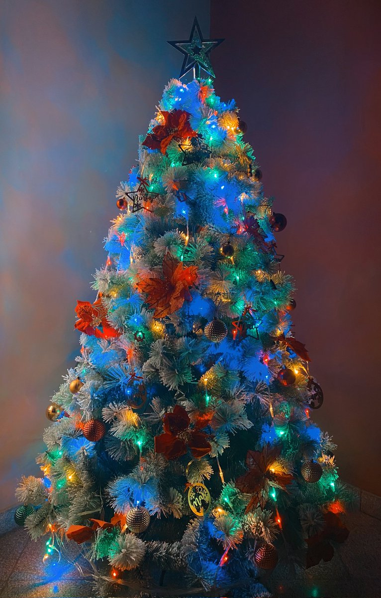 shinytr4sh's tweet photo. @hakosbaelz @ceresfauna Here's mine!! It has custom ornaments with the names of all family members (+3 pets!), try to see if you can find some of them! :D #FaulizBaevidad https://t.co/LBMf04wCFP