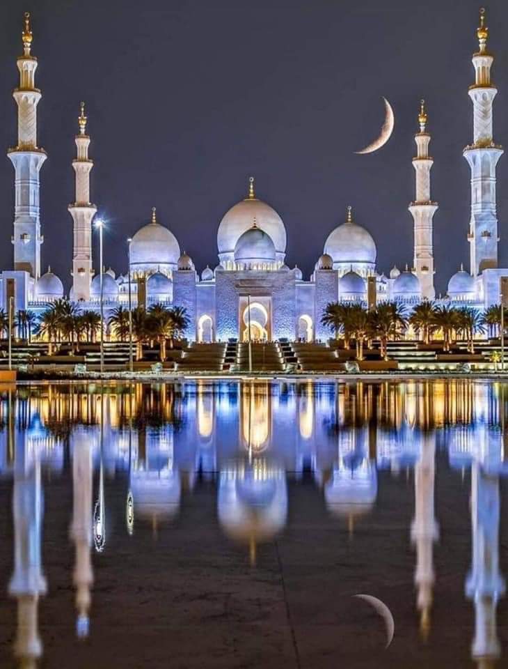 UAE              
 الامارات العربية المتحدة 🇦🇪