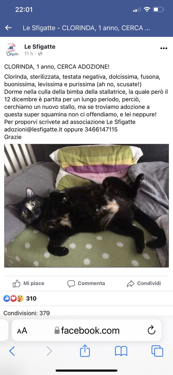 🆘🆘🆘RICEVO E CONDIVIDO 🆘🆘🆘🆘🆘🆘🆘🆘🆘🆘🆘🆘🆘🆘🆘🆘🆘🆘🆘🆘🆘🆘CONDIVIDETE È URGENTE STALLO CONDIVIDETE È URGENTE CONDIVIDETE IN TANTI PER FAVORE FORZA CONDIVIDETE 🆘🆘🆘🆘🆘