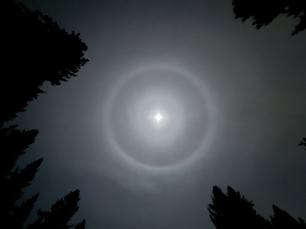 nbsparth's tweet photo. Such a Science fiction moon yesterday, here in Sammamish WA https://t.co/XhBAUh2h2m