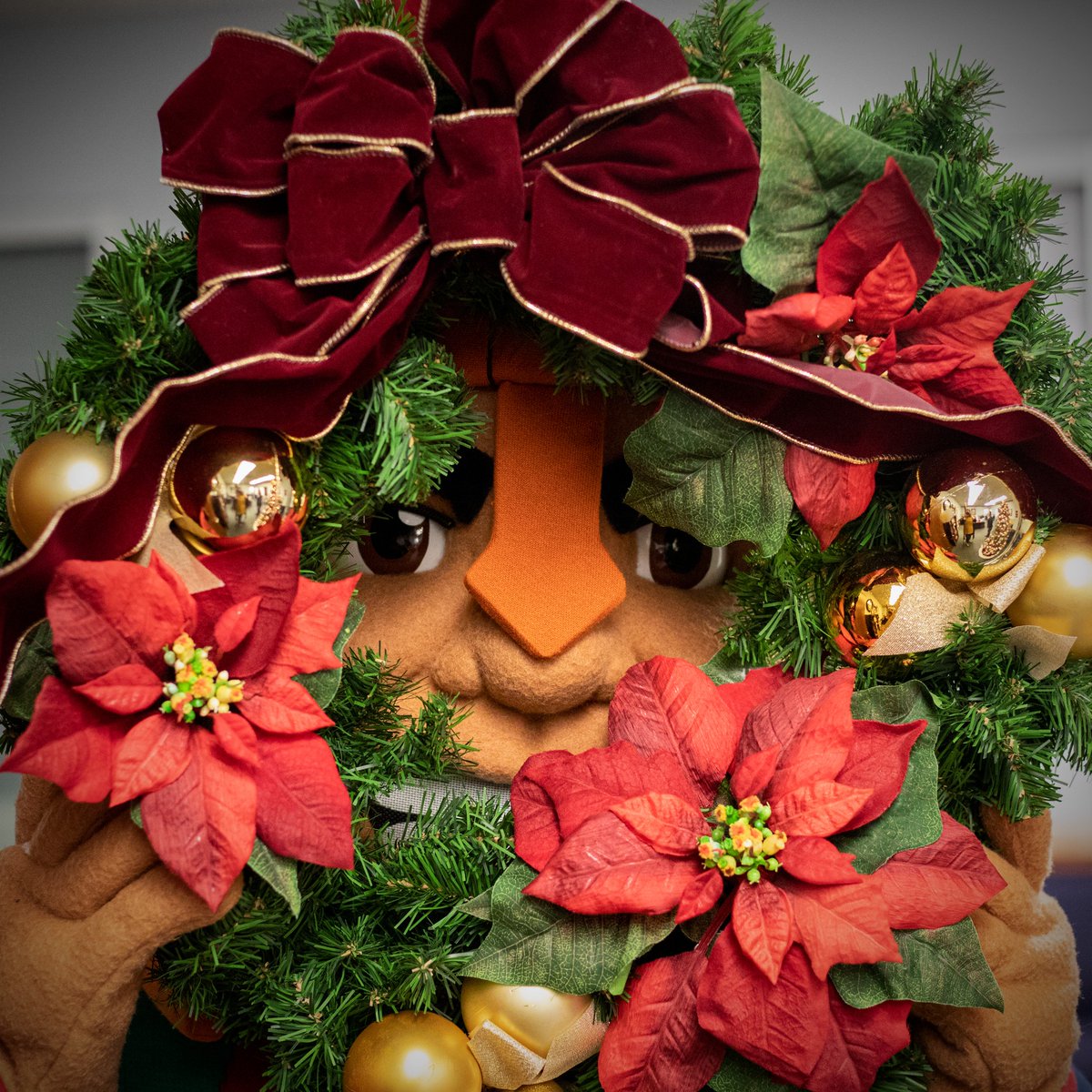 HLGuniversity's tweet photo. (2/6) I watched from the doorway to see what he’d do next.
Then I pulled out my phone to send off a text.
That’s when he saw me. He was up to no trick.
Turns out he just wanted a festive profile pic. https://t.co/B0pPbC32HR