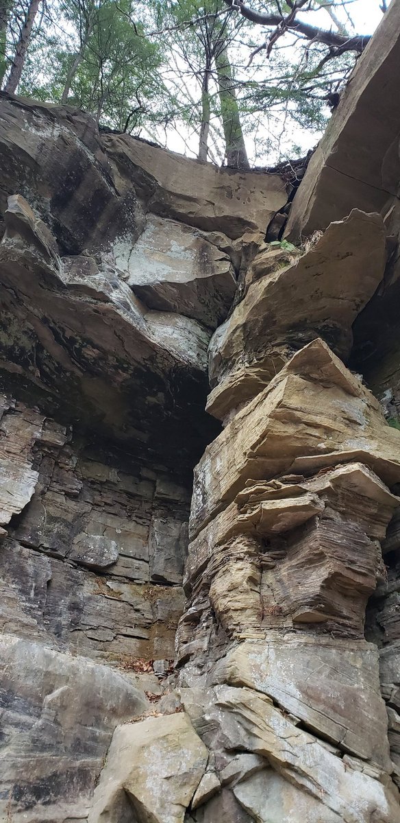 MichaelMareagle's tweet photo. Great hike with my sis @clevemetroparks #BedfordReservation. A chilly 35 degree day. Lots of fun rock scrambles, some offtral fun & climbing up muddy inclines made for a strenuous but fun hike.
#hike #hiking #hiker #optoutside #hikemoreworryless #exerciseismedicine #Fun2BFit https://t.co/Xjd5a0jmJA