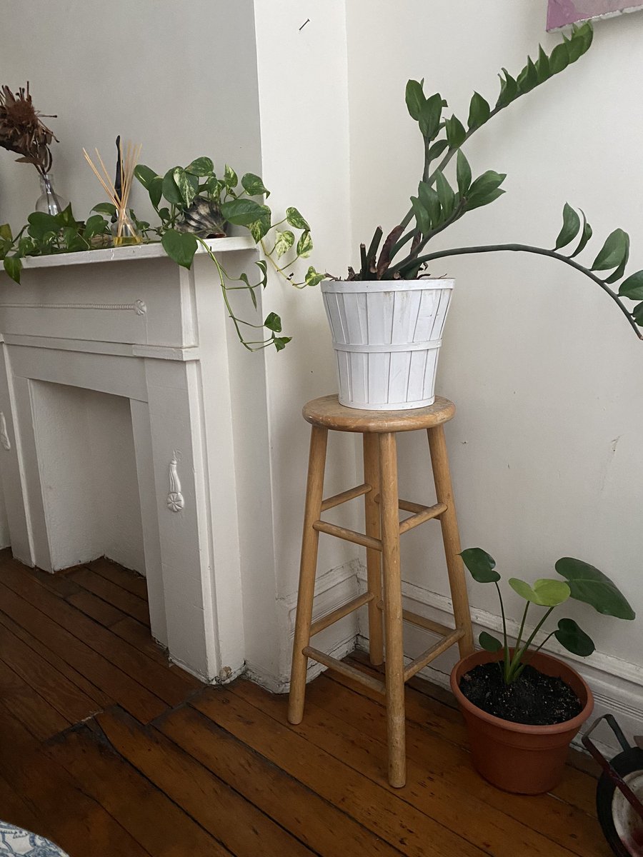 Some of my kids 😊