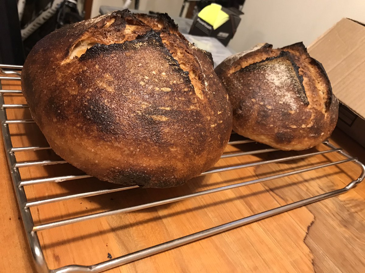 SeattleMcGraw's tweet image. Back on my Bullshizzz…🥖 #getdatbread #sourdough