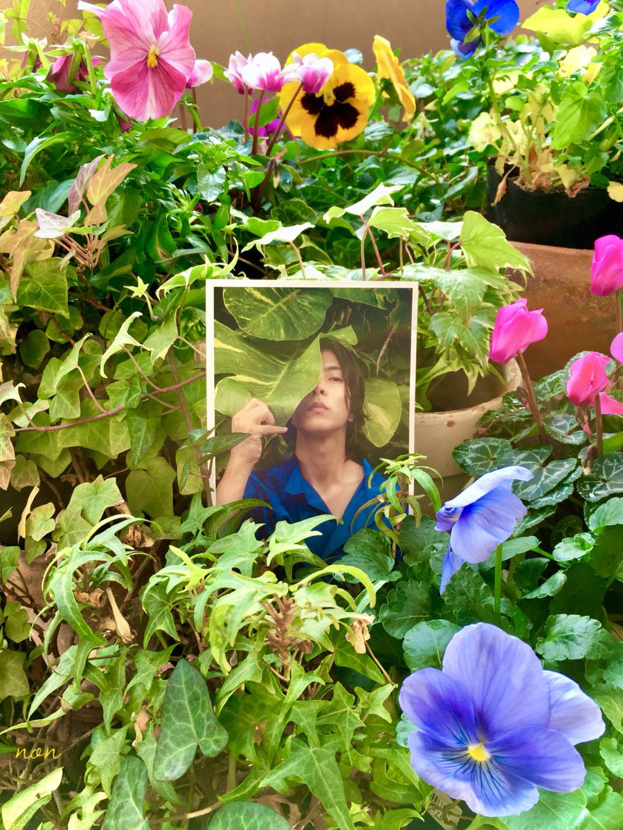 ＃Twitterトレンド大賞 黒髪ショート
ヘア前髪ありやまぴーにときめく🥰
そして優しい微笑みと上品なお手振り
に淳さんじゃないけどふわぁ〜とした
気持ちになる😆🍀💜
それに癒される声が加わるから最強！
来年も ＃山P祭り は終わらない👍

＃山下智久
＃山下智久写真集Circle
＃山P祭りよ永遠なれ🎉