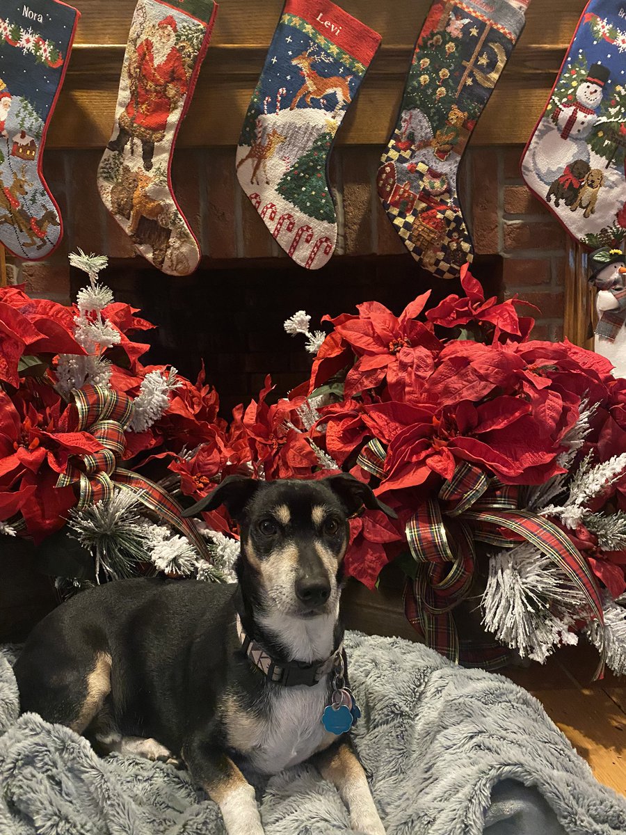 My special friend is here for Christmas.  #welcomedwayne #francocares #ChristmasAtHome #francoharris #beloitbssset