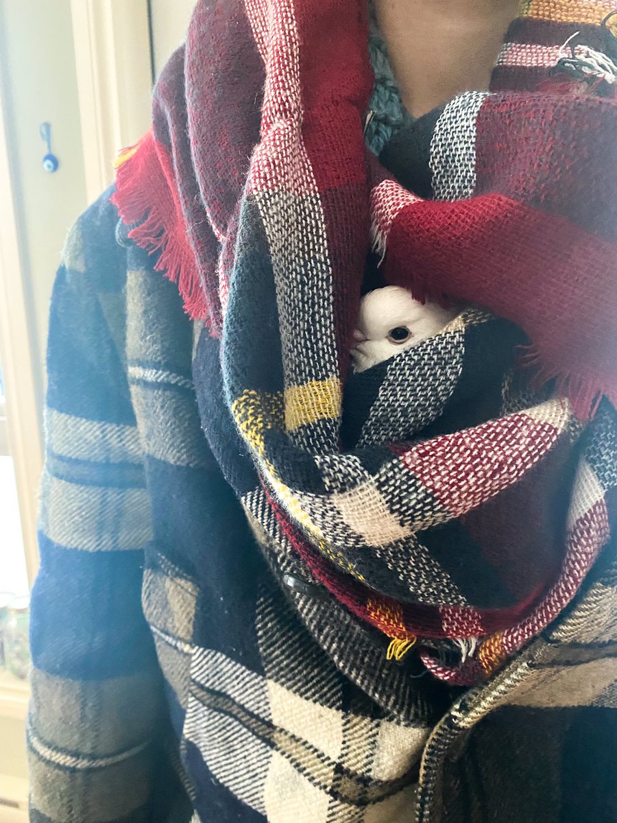 Eden Nightingale tweet media