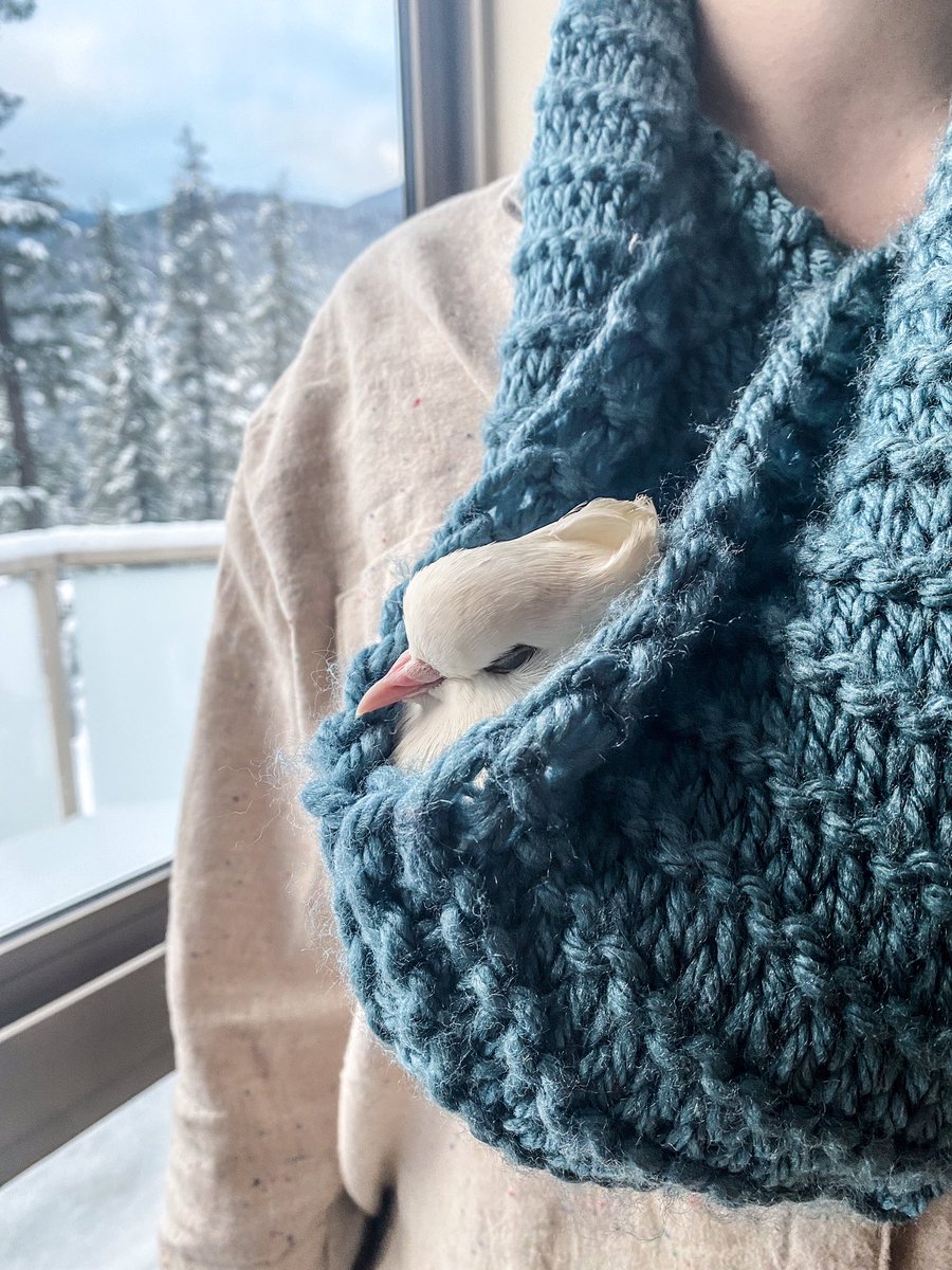 Eden Nightingale tweet media