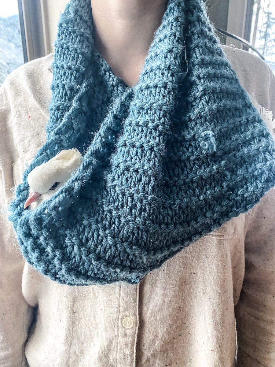 Eden Nightingale tweet media