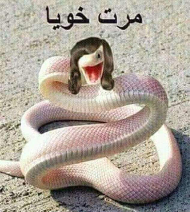 اليوم اشتريت حية وماعرف شتاكل
بنات انتن شتاكلن؟🤭😄😄