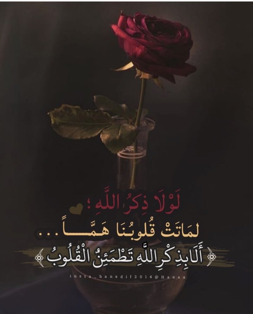قال ابن القيم رحمه الله:
وفي الصفح والعفو والحلم من الحلاوة والطمأنينة، والسكينة وشرف النفس، وعزها ورفعتها ما ليس شيء منه في المقابلة والإنتقام.
وأقول أنا من أراد نعيم الجنة فليزم كلام ابن القيم فكأنك سبقت الناس للجنة .
#لاترحل_بلا_اثر