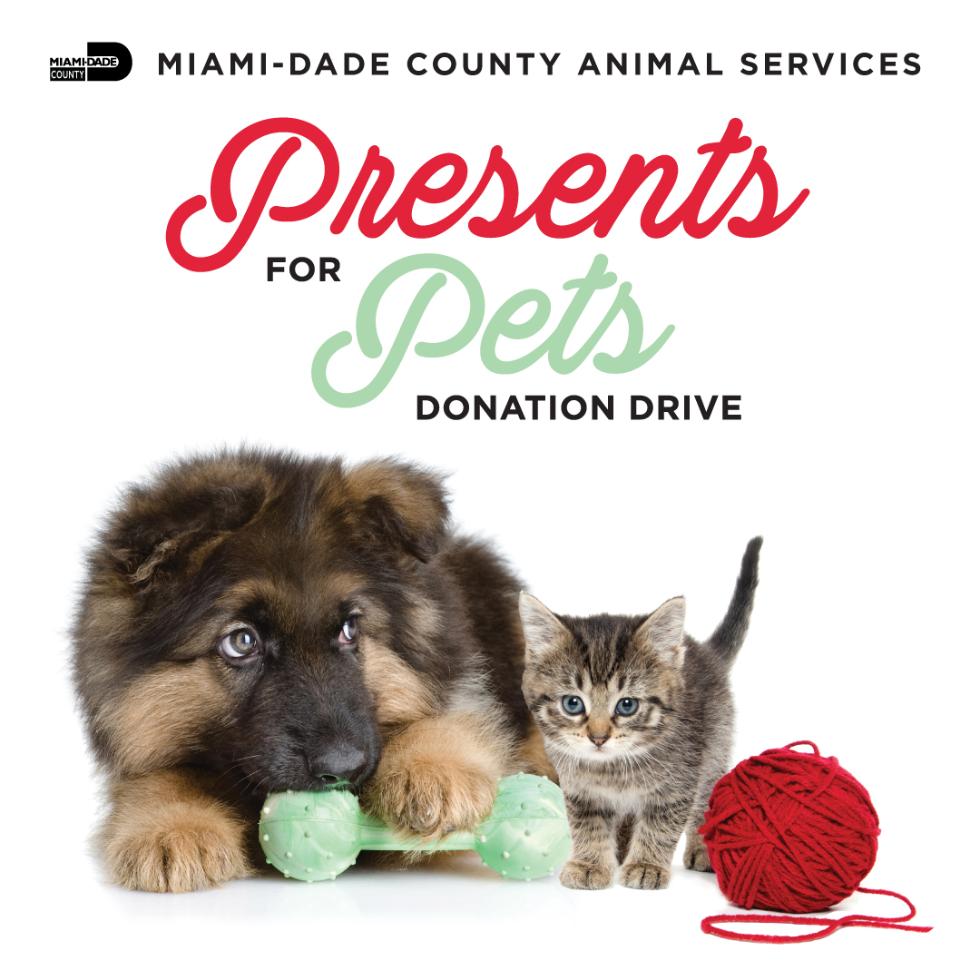 The Presents for Pets Donation Drive starts today! Now through January 31, @AdoptMiamiPets and #MDPLS are collecting blankets, pet beds, treats and toys. For more information and the list of donation locations, including participating libraries, visit bddy.me/3pfa9f7.