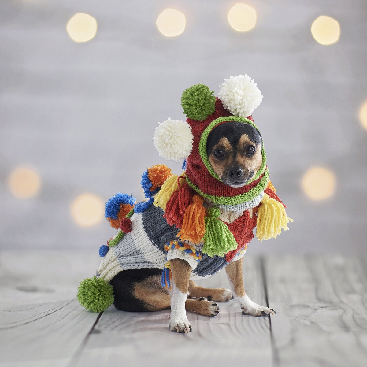 mooglyblog's tweet photo. There's a whole lot going in in this one! 😮 What do you think? https://t.co/dCbGD4upjO
#yarnspo #dogsweater #freeknittingpatterns https://t.co/WURidtgoHa