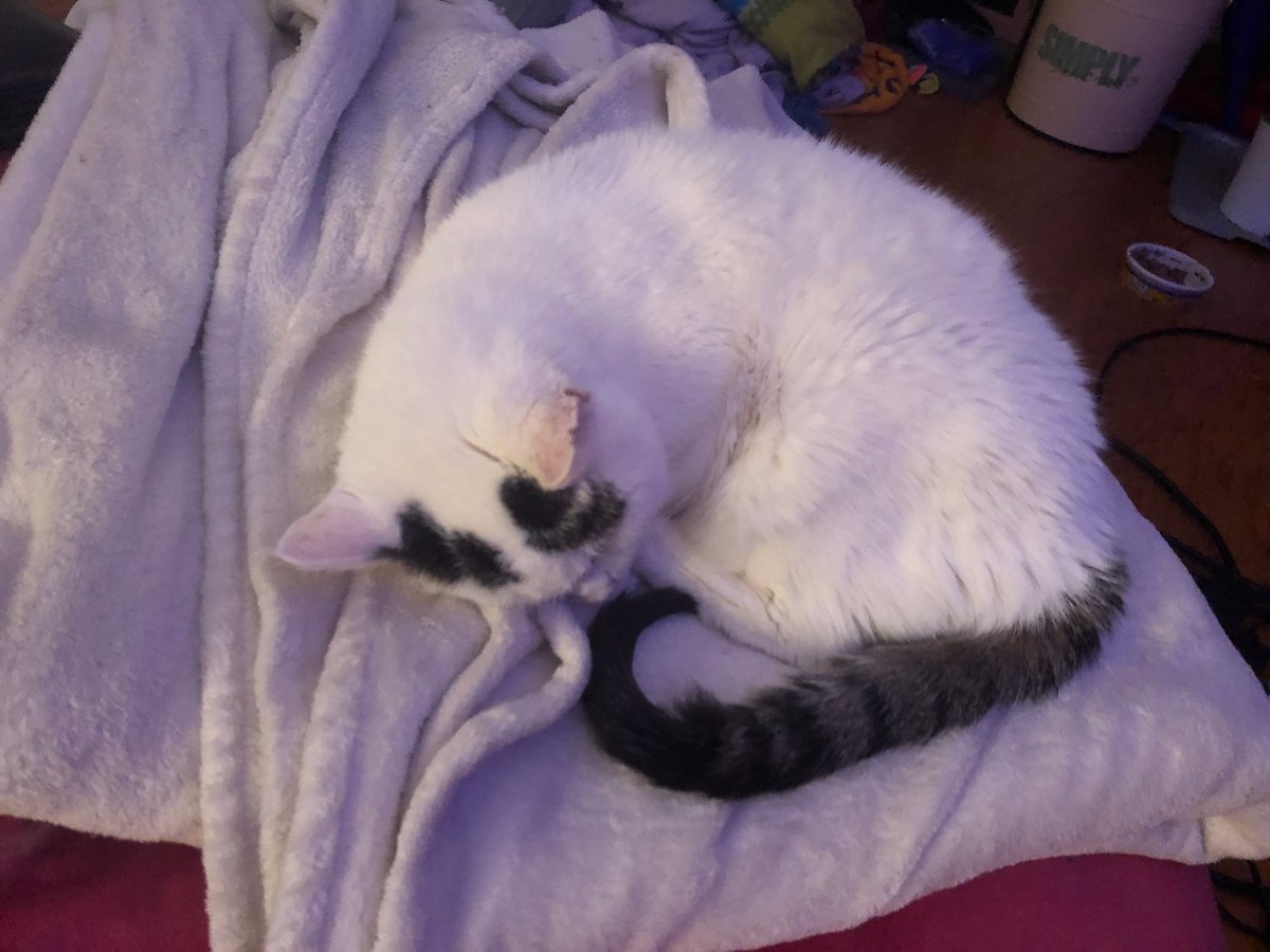 slightly fuzzy shrimp???